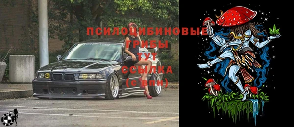 гашик Козловка