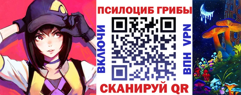 ОМГ ОМГ ССЫЛКА  Дзержинск  Галлюциногенные грибы Magic Shrooms 