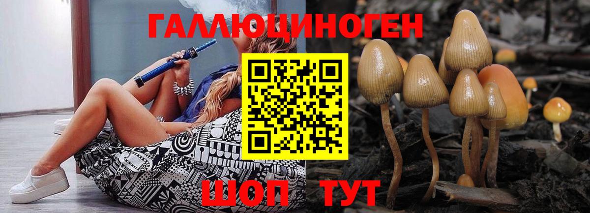 Галлюциногенные грибы Psilocybe Дзержинск